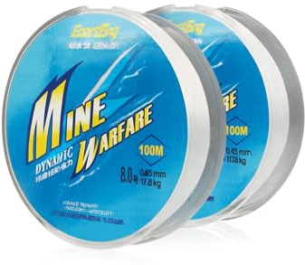 2 PCS 100m Angelschnur, 0,45 mm Starke Monofile Angelsehne, Nylonfaden Transparent Reißfest, Robuste Nylonschnur Reißfest für Angeln, Basteln, Aufhängen, Dekoration & Fishing Line