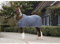LeMieux Abschwitzdecke Arika Jersey-Tek Grau 155 cm - 155 cm - Grau