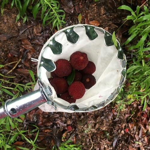 Fruit Picker Tool With Basket And Pole, 8 9 13 16 23 32 FT Telescoping Apple Orange Lemon Avocado Catcher Digger For Large Tall Tree, Metal Portable Fruit Gathering Harvester For Gardening Orchards(Co