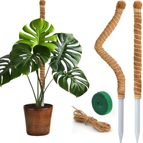 Tutores para Plantas, 120CM Tutor Monstera, Tutor Musgo Plegables, Tutor Plantas, Tutores para Monstera, Tutor de Musgo para Monstera, Moss Pole, para Plantas Escaladoras Interior al Aire Libre