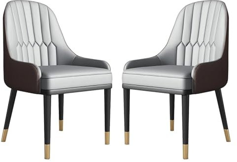 Esszimmerstühle 2er Set, Moderner Ledersessel mit stabilen Beinen aus Karbonstahl für Küche und Esszimmer