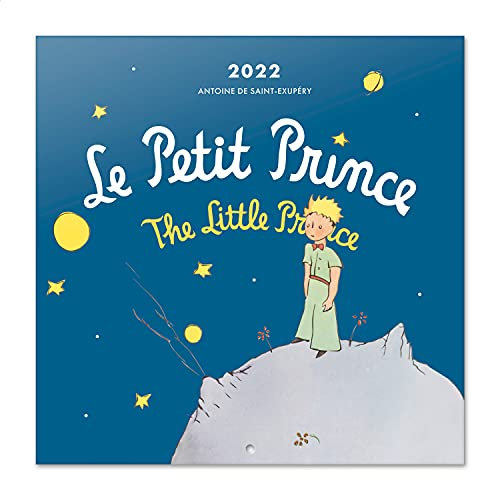 Grupo Erik Der Kleine Prinz Kalender 2022 Wandkalender 2022 Groß für 12 Monate mit Geschenk Poster
