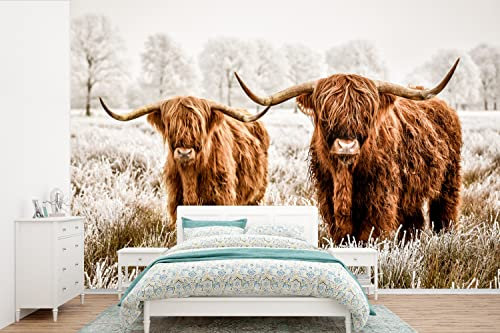 Selbstklebend Tapete Wandpapier Wandaufkleber Fototapete Tapeten Wanddeko 600x400 cm Schottischer Hochländer - Kuh - Tiere - Natur - Heidekraut