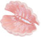 NBEADS Piatto per Gioielli In Ceramica con Conchiglia Rosa, Vassoio Portaoggetti per Gioielli A Forma di Conchiglia Porta Orecchini, Decorativo per Gingillo A Tema Oceano per Anelli Collane, Orecchini