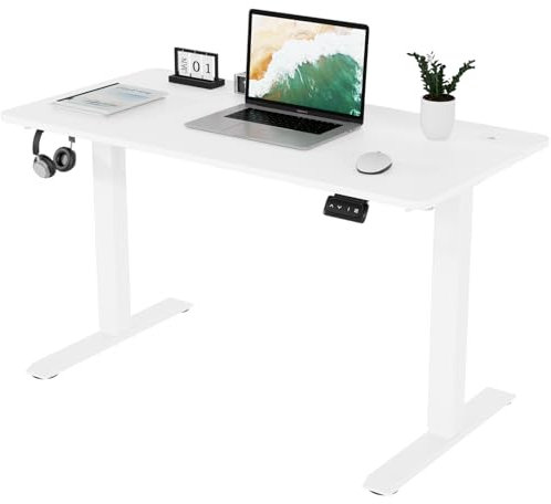 TRIUMPHKEY Bureau Assis Debout 120x60cm,Table Debout élévateur électrique avec 2 Hauteurs de mémoire, Trou de Passage, Hauteur de Bureau Réglable 71-119cm