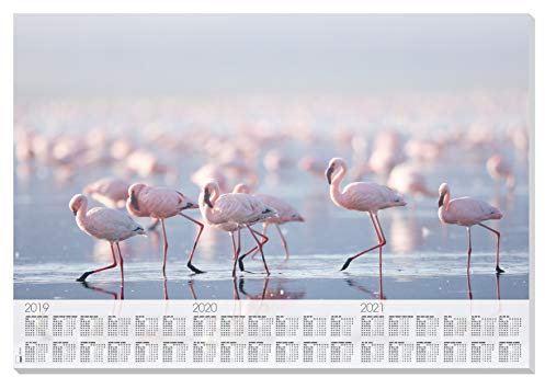 SIGEL HO472 Papier-Schreibunterlage zum Abreißen mit Kalender, ca. DIN A2 - extra groß, 30 Blatt, Motiv Flamingos