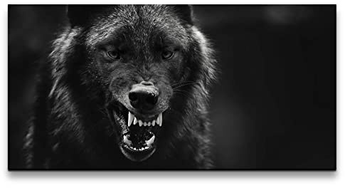 Paul Sinus Leinwandbild 120x60cm Schwarzer Wolf Wild Wildnis Drohend Raubtier