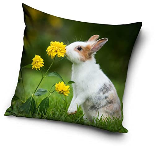 Hasen Kaninchen Baby Motiv Kissenhülle Kissenbezug 40x40 cm (PD211001)