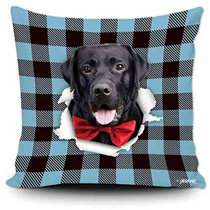 Babyblauer Und Schwarzer Büffelkaro-Karo – Hund Labrador Kissenbezug Luxus Kissen Fall Dauerhaft Kissenhülle Für Büro Outdoor Couch Zimmer 45X45Cm