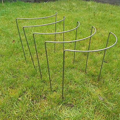 Metal Plant Supports 5 pack 6mm Mild Steel Size Medium Approx 50cm Tall and 40cm Wide
