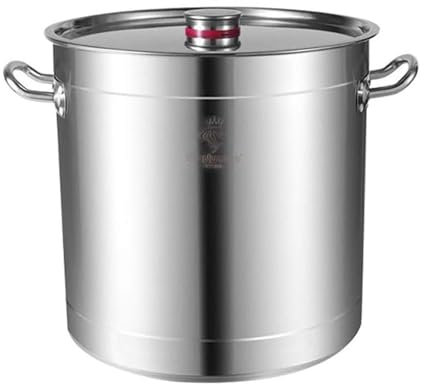 THEGA Marmite avec Couvercle - Marmite en Acier Inoxydable, Poêle À Alcool De Cuisine en Acier Inoxydable, Marmite À Soupe avec Couvercle en Verre, Batterie De Cuisine De Camping (Size : 40L)
