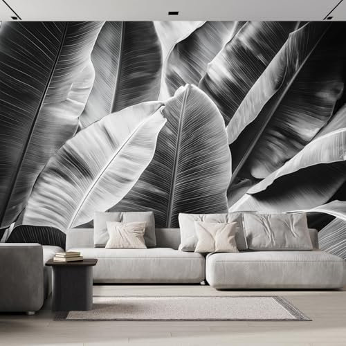 Wallpaper Papier Peint Panoramique Feuilles Palmier Noires 300×210cm Poster Geant Mural，3D Grandes Feuilles Peinture Murale Papier Peint Salon Chambre