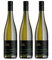 junge triebe | the easy riesling | Bio Riesling Weißwein trocken, Rheinhessen, vegan | 3x 0,75l