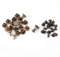 Rivet Head Nails and Screws, 20Pcs Flat Belt Binding Screw 8mm Chicago Leather Fasteners Button Stud Slotted Copper Brass Rivets Replacement for DIY Leather Decoration Shoes Repairs Bookbinding