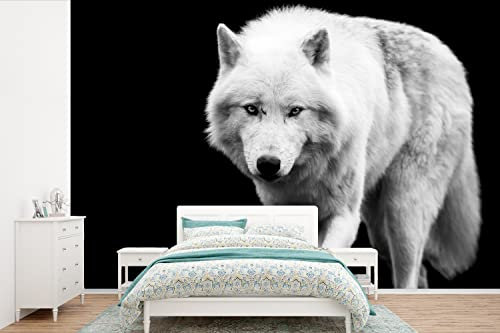 MuchoWow Papier peint Loup - Animal - Noir - Blanc Papier peint photo 600x400 cm Papier peint imprimé