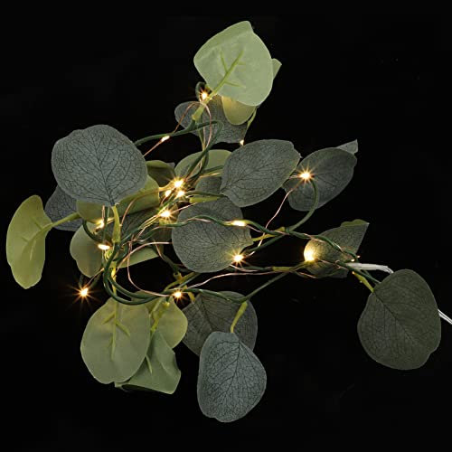 Ciieeo Eukalyptus Girlande Lichter Lichterkette Für Hochzeit 20 Power Lichterkette