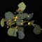 Ciieeo Eukalyptus Girlande Lichter Lichterkette Für Hochzeit 20 Power Lichterkette