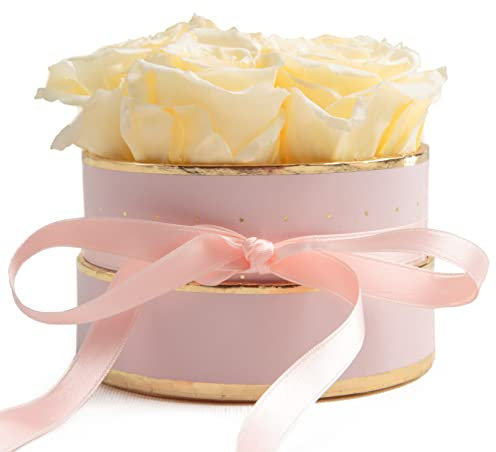 ROSEMARIE SCHULZ Heidelberg Beste Mama Blumenbox rund Infinity Rosen - Rosenbox in Rosa 4 ewige Rosen weiß Ø ca. 10cm haltbar 3 Jahre - Geschenke für Mama (Rosa-Beige)