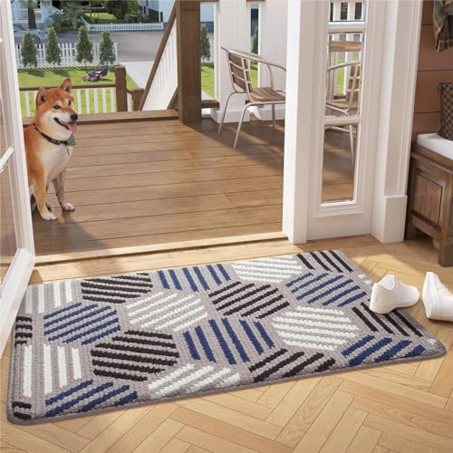 Color G Dirt Trapper Door Mat Indoor, Front Door Mat Inside Machine Washable, Super Absorbent, Non-slip Floor Mat for Entrance, Shoes and Muddy Paws- 80 x 120 cm, Blue