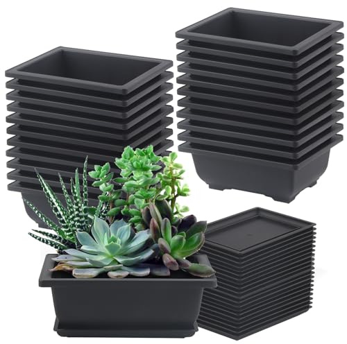 FAAING 20 macetas de plástico para bonsái, 16,5 x 12 x 6 cm, macetas para bonsái con plato, cuenco para bonsái, maceta pequeña para jardín, balcón