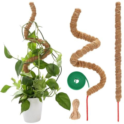Moosstab, Rankhilfe Zimmerpflanzen, 2 Stück Pflanzenstab, 60cm Moss Pole, Pflanzenstütze für Kletterpflanzen Im Innenbereich, Biegsame Rankhilfe, Moosstäb Pflanzenstab, Pflanzstab mit Zubehör