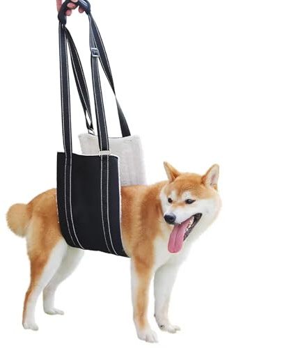 Ziyonix Weiche Hunde Tragehilfe, Mittelgroße und Große Hund Rehabilitation Tragegurt Einstellbare Tragehilfe Treppenhilfe und Unterstützungsgeschirr für Behinderte Verletzte Ältere Hunde (L)