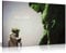 Panther Print Kunstdruck auf Leinwand, Motiv The Hulk Comic Book, 45,7 x 30,5 cm
