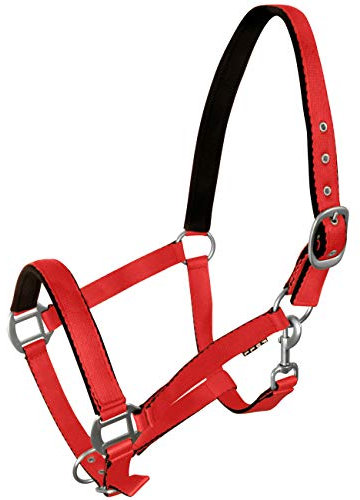 York Pferde Halfter Fluo weich unterlegt Stallhalfter Weidehalfter Reithalfter (Pony, rot)