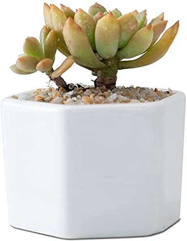 GXBCS Pflanzkübel Blumentöpfe Übertopf Weiße Keramik Wabenform Kleiner Sechsseitiger Gartentopf Porzellan für Kaktus Zimmerpflanzen 929