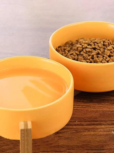 Double Bol en Céramique pour Chats et Chiens - Gamelle Design pour Nourriture et Eau avec Récipient pour Croquettes (Jaune, 2 Bols)