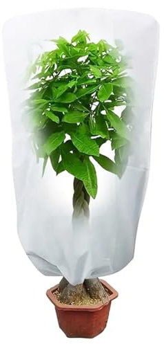 XIASHENG 1 Pieza Protección Invernal para Plantas con Cordón Funda contra Heladas para Plantas de Invierno Protección de Invierno,Capucha Protectora Antiheladas para Todo Tipo de Árboles-80 x115cm