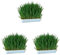 KERBL 83199 - Erba per roditori (Erba Animale da 100 g, 20 x 14,6 x 3,5 cm, mangime Verde) (Confezione da 3)