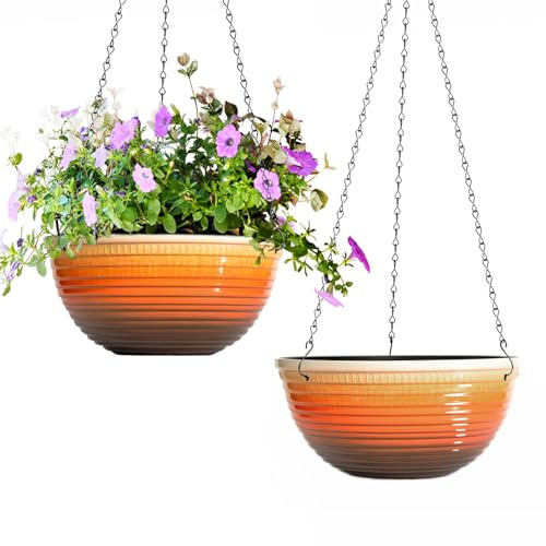 Vanslogreen 10 Inch Hanging Planter, 2 Pack Hanging Planters for Indoor Outdoor Plants Self Watering Hanging Pots with Drainage Holes for Garden Home