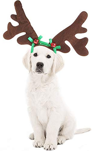 KUDES Hunde-Stirnband, Weihnachten, Rentier, Geweih, klassischer Elchhut, Kopfbedeckung, Haustier-Kostüme, Zubehör