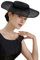 BABEYOND Fascinator mit breiter Krempe, für Teepartys, Kentucky-Hut, Derby-Fascinator, Hochzeitsmütze für Cocktails, schwarz, Einheitsgröße