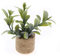 Magnet frigo, aimants pour réfrigérateur de Plantes artificielles en Pot, Miniature 3D, Pot en liège, Fausse Fleur, décoration magnétique pour Le Bureau à Domicile, Cuisine (Style-E)