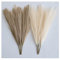 ChagoArt - Pampasgras Dekor Hochpampasgras klein 43,2 cm - 6 Stiele - Beige und Taupe-Braun - Pompas Floral-Fake Pampasgras - Künstliches Pampasgras Vase Getrocknetes Pampasgras - Pompous Grass Zweige