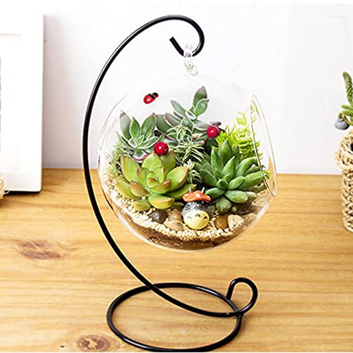 Vaso per Fioriera in Vetro Sospeso Rotondo Appeso per Piante D'aria Terrario Palla Appesa Trasparente Grande Terrario Vaso per Fiori Vaso per Fiori Contenitore Fioriera Bulbo Vaso per Piante Aeree Fio