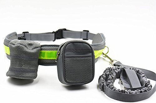 Reflektierendes Bungee-Hundeleinen-Set für Hunde, mit Flaschenhalter, Gürteltasche (grau)