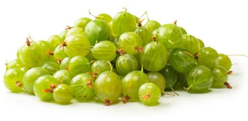 100 Pc Semillas De Grosella Espinosa Resistentes - Semillas De Plantas De Grosella, Plantas En Crecimiento, Plantas Verdes, Plantas De Interior. Semillas De Grosella De La Planta De