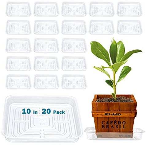 UltraOutlet Lot de 20 soucoupes carrées pour pots de fleurs de 25,4 cm pour extérieur et intérieur - Soucoupes transparentes pour pot de fleurs pour attraper l'eau (20, 25,4 cm)