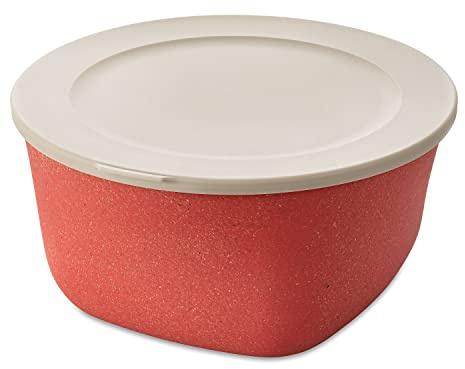 Koziol Connect Box 4 mit Deckel aus Kunststoff in der Farbe Nature Coral 4L, Maße: 25,2cm x 24,7cm x 13cm, 7872704