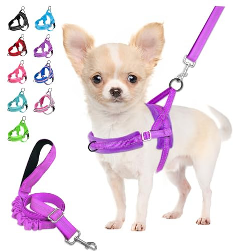 Eyein Hundegeschirr mit Leine für mittelgroße Kleine Hunde, Weich gepolsterter No-Pull Brustgeschirr mit 2 Leinenclips, Leichtgewicht Reflektierend Geschirr Hals und Brust verstellbar (Lila, XS)