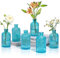 ComSaf Glass Bud Vases Set of 6, Small Clear Bud Vases in Bulk, Mini Vintage Decorative Bottles, Modern Floral Centerpiece for Flowers, Wedding Recepetion, Home Decor, Housewarming Gift (Blue)
