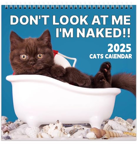 Wandkalender 2025 - Katze