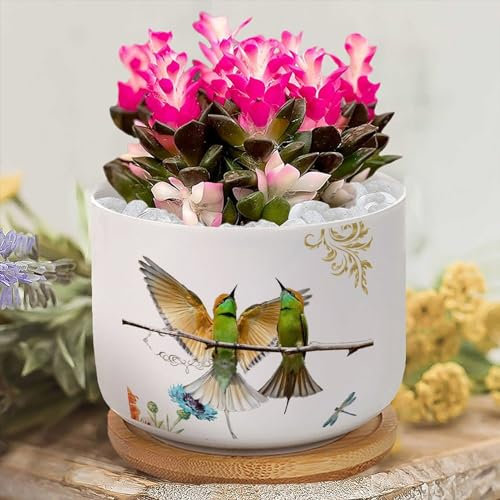 Yelolyio Pots de fleurs antiques pour plantes succulentes avec drainage, motif oiseau, floral, papillon, pot de fleurs personnalisé, pots de fleurs en céramique pour plantes, petits pots de fleurs,