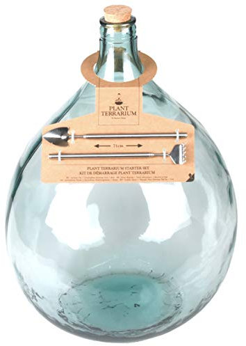 Esschert Design AGG49 Terrarium-Pflanzgefäß mit Werkzeug, groß, Grün