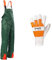 Safetytex Forstschutz Set - Schnittschutzlatzhose + Forsthandschuhe - 2 TLG Forstschutz Set - KWF geprüft - Für Forst & Garten