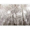 murando - Papier peint panoramique nature 350x256 cm - Revêtement mural décoration pour chambre salon - Design unique et moderne - Vert beige marron - Nature paysage arbres forêt b-C-0996-a-a