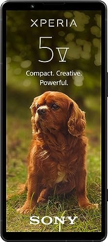 Sony Xperia 5 V (6,1 , 21:9, HDR OLED 120 Hz, Plus de 24 Heures d'autonomie, capteur Next Gen & ZEISS, Jack 3,5 mm, IP65/68), Noir